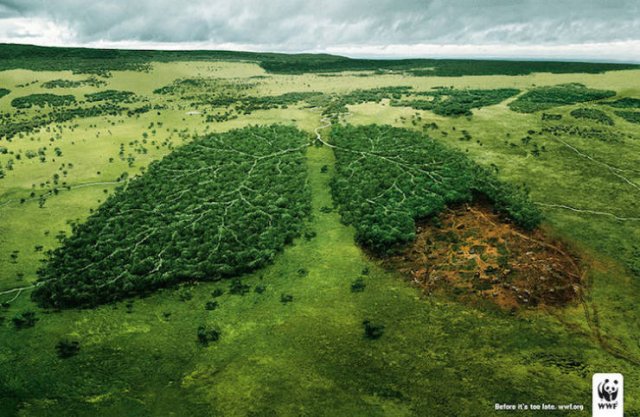 Smart And Very Important Ads (21 pics)