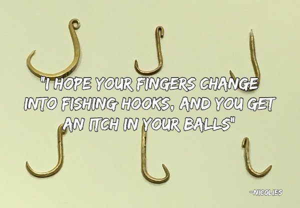 Good Insults (22 pics)