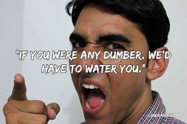 Good Insults (22 pics)