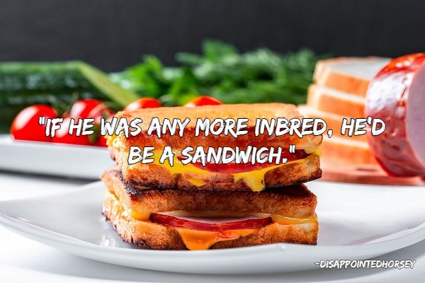 Good Insults (22 pics)