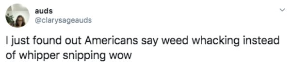 Things Non-Americans Don't Know About Americans (30 pics)