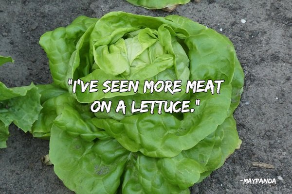 Good Insults (22 pics)
