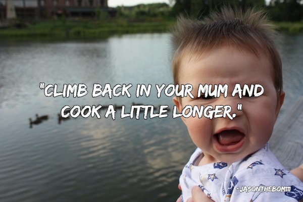 Good Insults (22 pics)