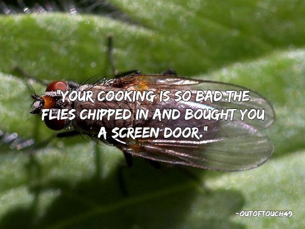 Good Insults (22 pics)