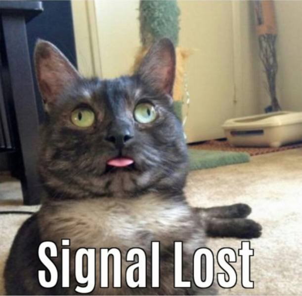 Acid Picdump. Part 2 (81 pics)