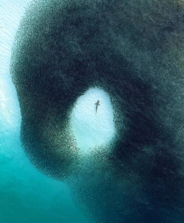 Acid Picdump. Part 1 (80 pics)