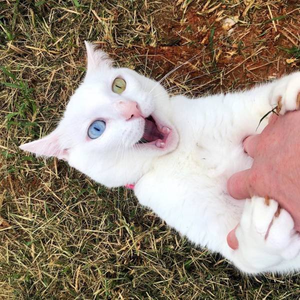 Acid Picdump. Part 1 (80 pics)
