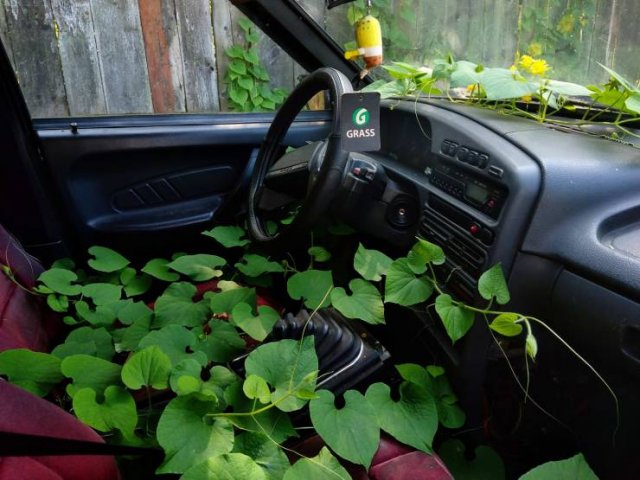 Acid Picdump. Part 1 (80 pics)