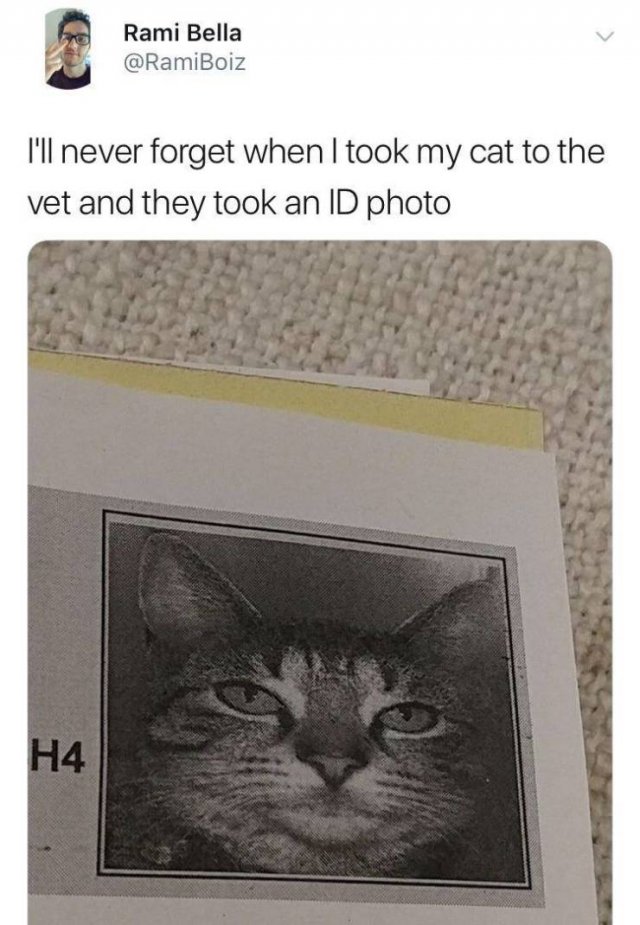 Acid Picdump. Part 2 (81 pics)