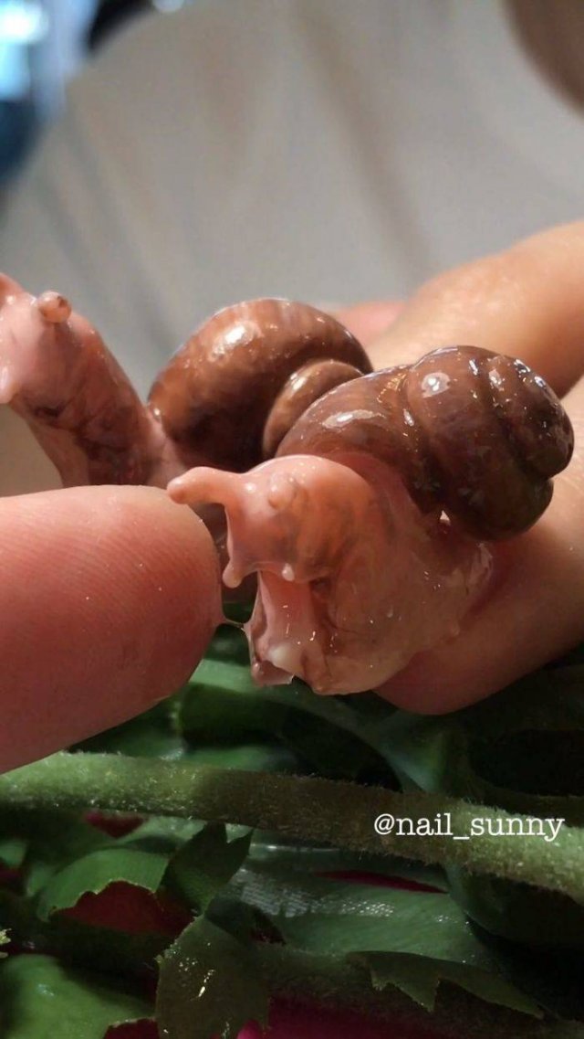 This Russian Nail Salon Makes The Weirdest Nails Ever (38 pics) This Russian Nail Salon Makes The Weirdest Nails Ever (38 pics)
