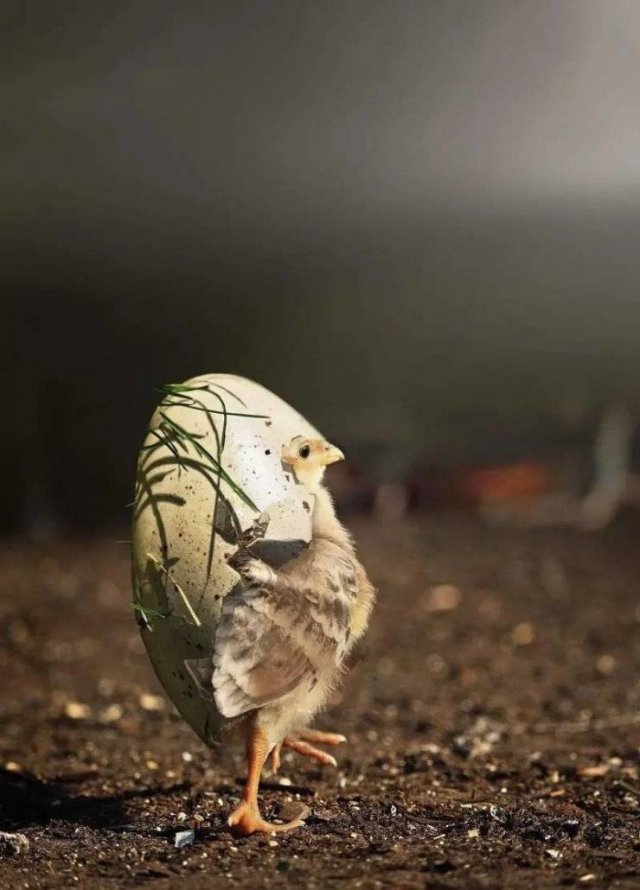 Acid Picdump. Part 2 (90 pics)
