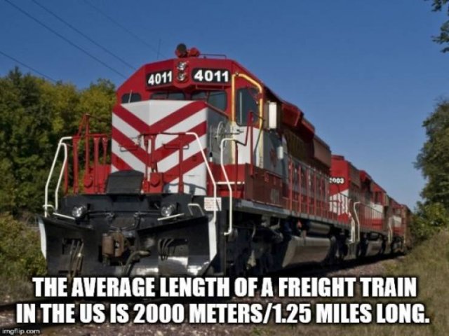 Interesting Facts (28 pics)