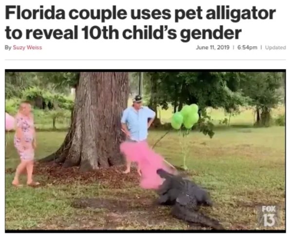 Nothing New In Florida According To This Year's Headlines (32 pics)