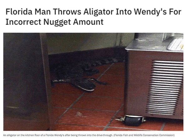 Nothing New In Florida According To This Year's Headlines (32 pics)