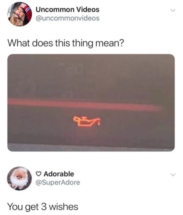 Great Responses (30 pics)