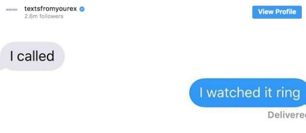 Great Responses (30 pics)