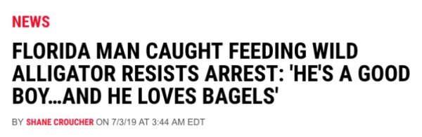 Nothing New In Florida According To This Year's Headlines (32 pics)