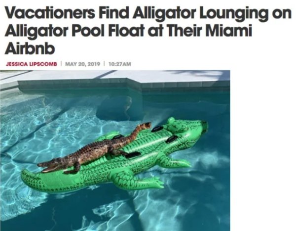 Nothing New In Florida According To This Year's Headlines (32 pics)