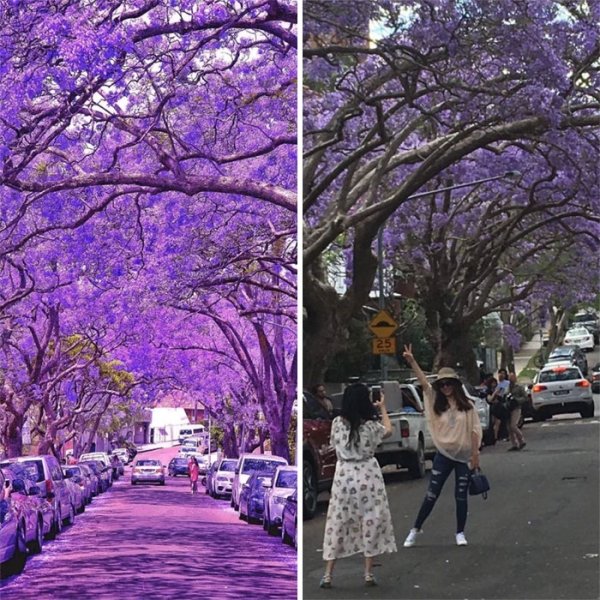 Don't Believe These Instagram Photos (30 pics)