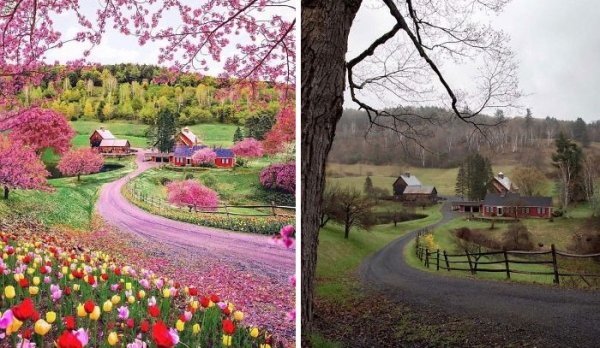 Don't Believe These Instagram Photos (30 pics)