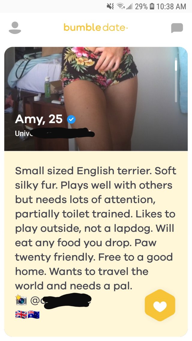 Funny Bumble Moments (33 pics)