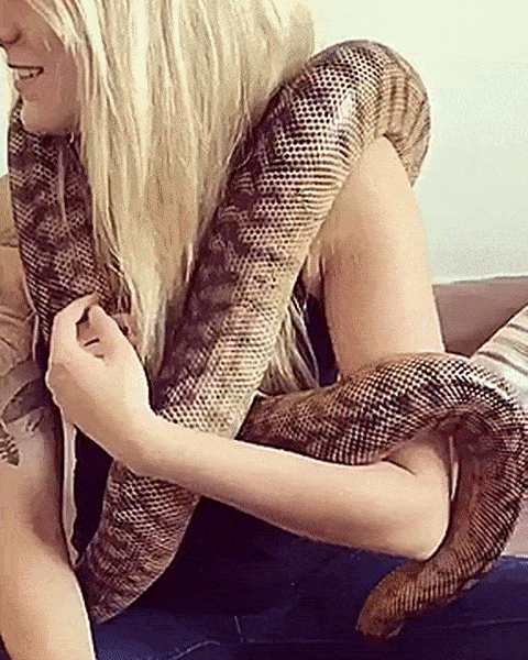 Girls Got Talent (16 gifs)