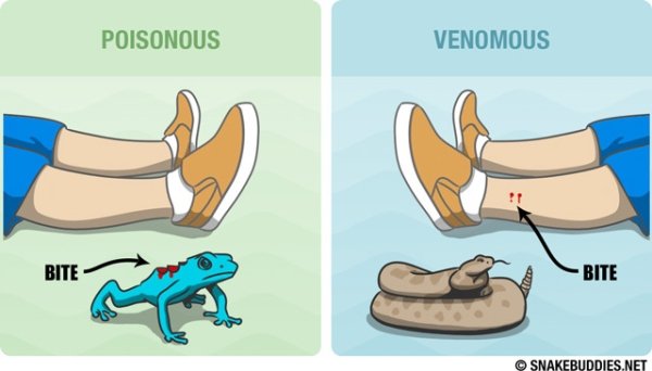 Graphs That Will Teach You Something New Today (30 pics)
