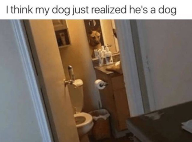 Acid Picdump. Part 2 (86 pics)
