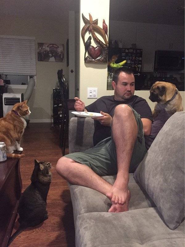 Acid Picdump. Part 2 (86 pics)