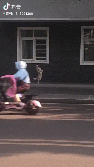 Acid Gifdump, August 14 (25 gifs)