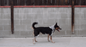 Acid Gifdump, August 14 (25 gifs)