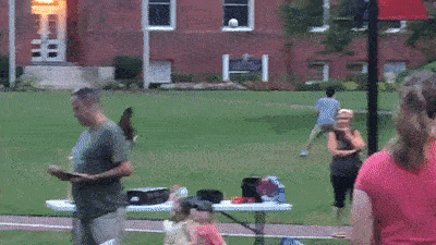 Acid Gifdump, August 14 (25 gifs)
