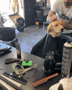 Acid Gifdump, August 14 (25 gifs)