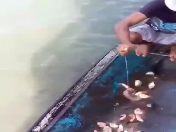 Piranha Fishing
