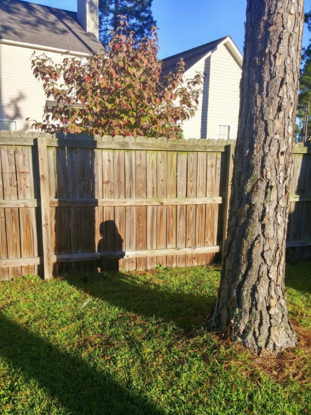 Kids Are Good At Hiding (22 pics)