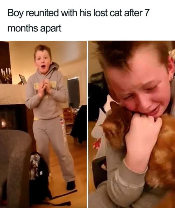 Why We Love Cats (29 pics)