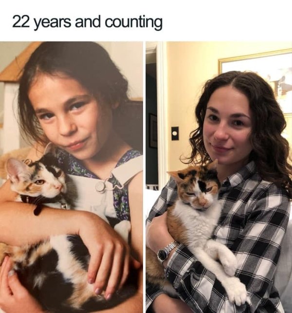 Why We Love Cats (29 pics)