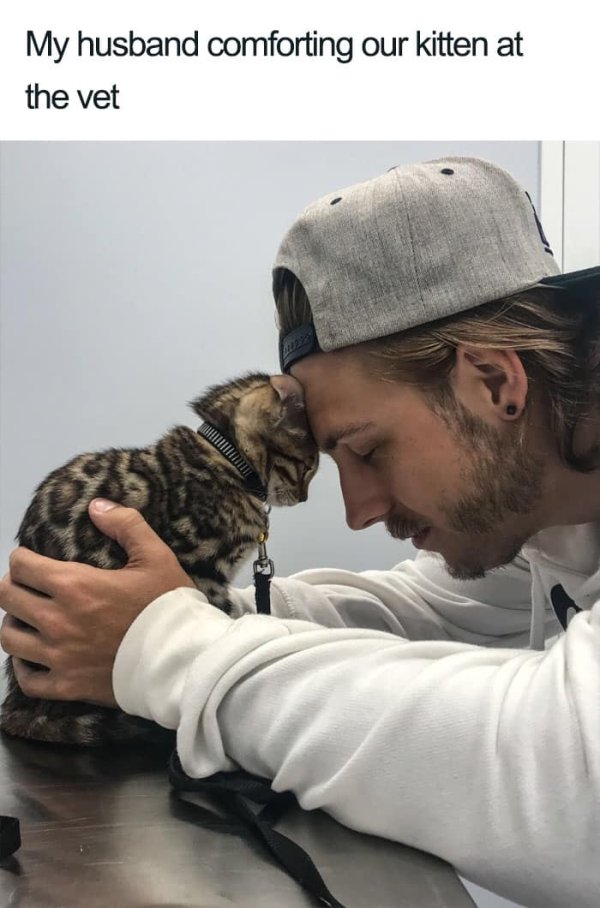 Why We Love Cats (29 pics)