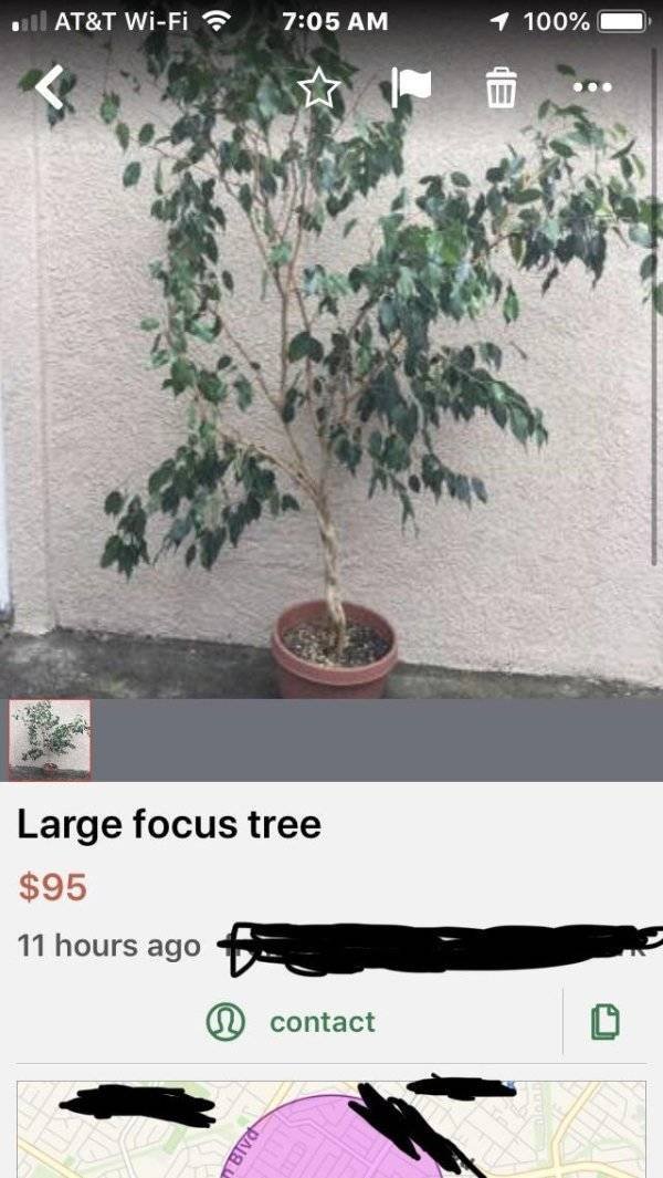 Sometimes A Misspelled Word Can Make Conversations More Entertaining (33 pics)