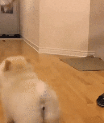 Acid Gifdump, August 15 (25 gifs)