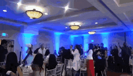 Acid Gifdump, August 15 (25 gifs)
