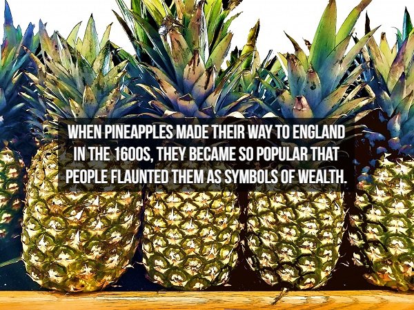 Historical Facts (18 pics)