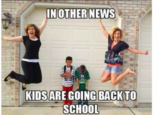 Back To School Memes (25 pics)