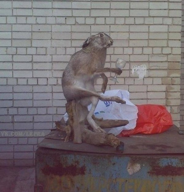 Funny Bad Taxidermy (26 pics)