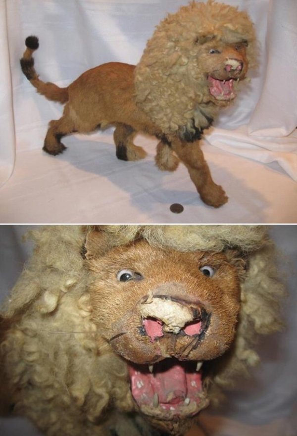 Funny Bad Taxidermy (26 pics)