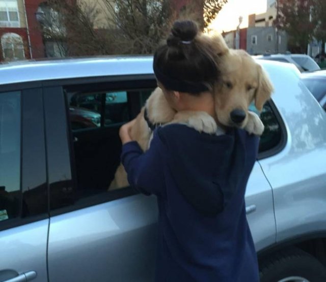 Owners And Pets Share Their Moments (23 pics)