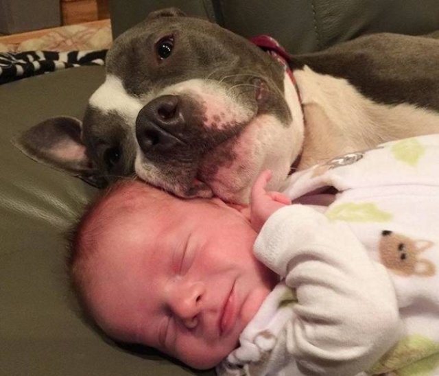 Owners And Pets Share Their Moments (23 pics)