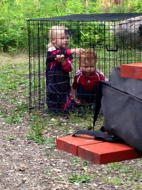 Kids Are The Best (24 pics)