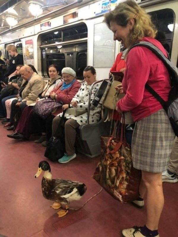 This Is Why We Love To Ride Subway (39 pics)