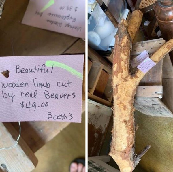 Thrift Shops Are Weird Places (39 pics)